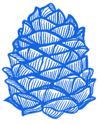 Logo PROCERT